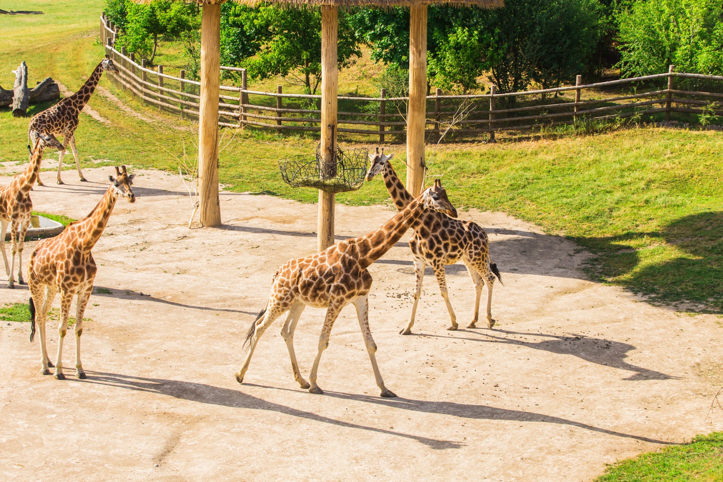 Al Areen Wildlife Park